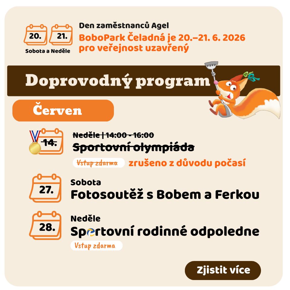 program